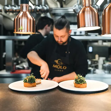 Molo Lipno 公寓式酒店